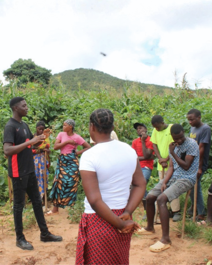 Untitled design (38)